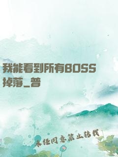 我能看到所有BOSS掉落