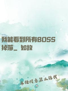 我能看到所有BOSS掉落