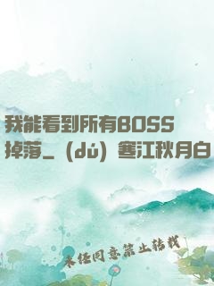 我能看到所有BOSS掉落