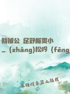 我被公滿足舒服爽小說