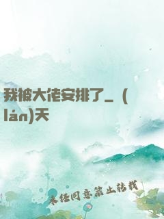 我被大佬安排了