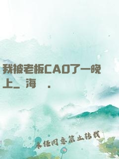 我被老板CAO了一晚上