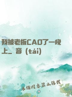 我被老板CAO了一晚上