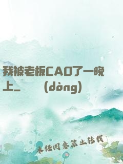 我被老板CAO了一晚上