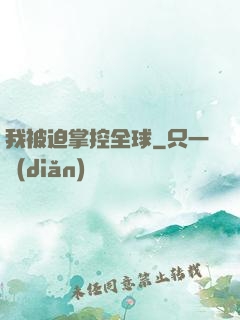 我被迫掌控全球