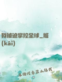 我被迫掌控全球