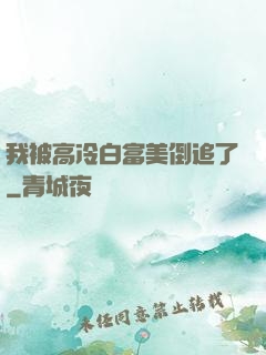 我被高冷白富美倒追了