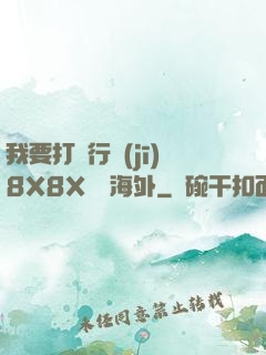 我要打飛行機(jī)8X8X視頻海外