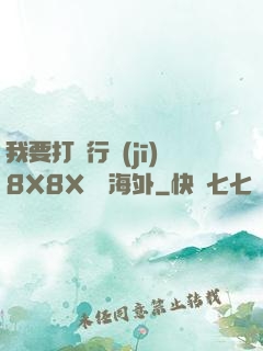 我要打飛行機(jī)8X8X視頻海外