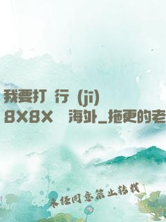 我要打飛行機(jī)8X8X視頻海外