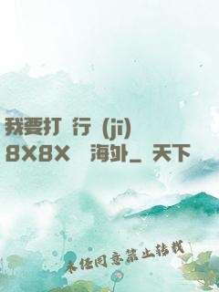 我要打飛行機(jī)8X8X視頻海外