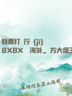 我要打飛行機(jī)8X8X視頻海外