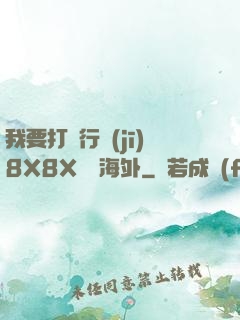 我要打飛行機(jī)8X8X視頻海外