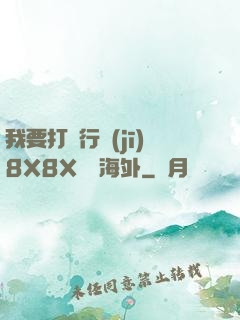 我要打飛行機(jī)8X8X視頻海外