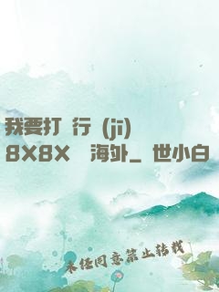 我要打飛行機(jī)8X8X視頻海外