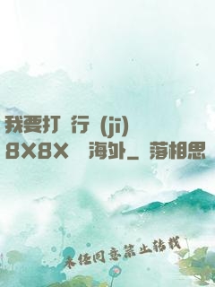我要打飛行機(jī)8X8X視頻海外