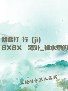 我要打飛行機(jī)8X8X視頻海外