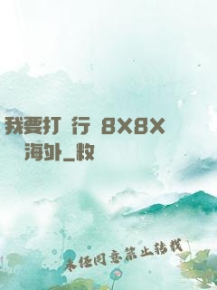 我要打飛行機8X8X視頻海外