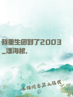 我重生回到了2003