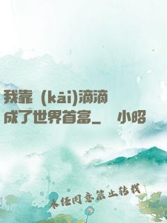 我靠開(kāi)滴滴成了世界首富