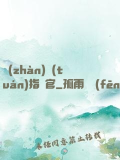 戰(zhàn)團(tuán)指揮官