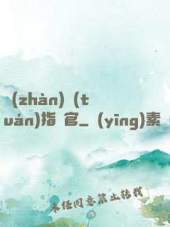 戰(zhàn)團(tuán)指揮官