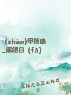 戰(zhàn)甲核心