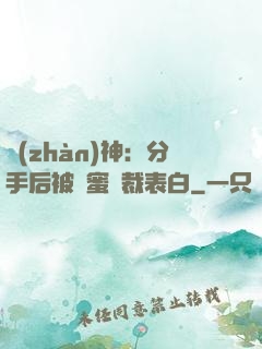 戰(zhàn)神：分手后被閨蜜總裁表白