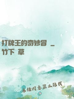 打牌王的奇妙冒險