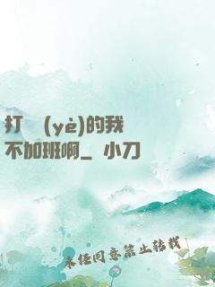 打職業(yè)的我絕不加班啊