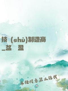技術(shù)制造商