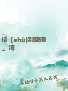 技術(shù)制造商