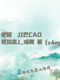 把腿張開JI巴CAO死你高J