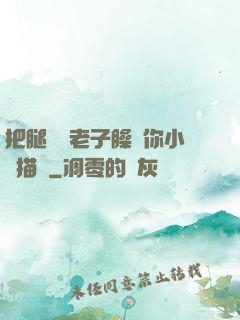把腿張開老子臊爛你小說描寫