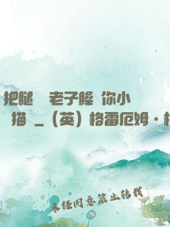 把腿張開老子臊爛你小說描寫