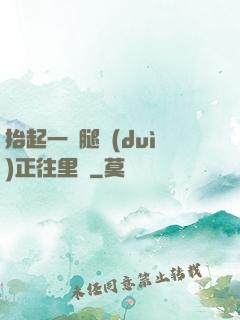 抬起一條腿對(duì)正往里懟