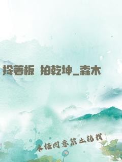 拎著板磚拍乾坤