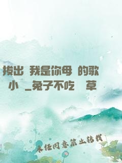 拔出來我是你母親的歌詞小說