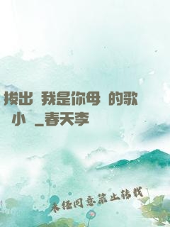 拔出來我是你母親的歌詞小說