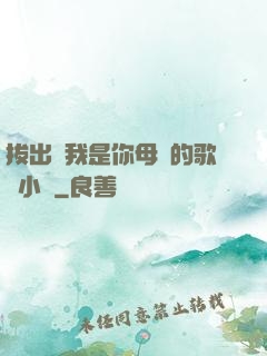 拔出來我是你母親的歌詞小說