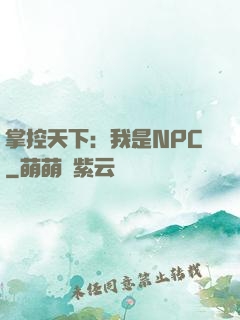掌控天下：我是NPC