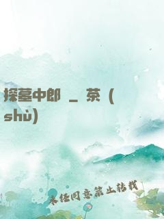 探墓中郎將