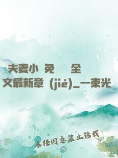 換夫妻小說免費閱讀全文最新章節(jié)