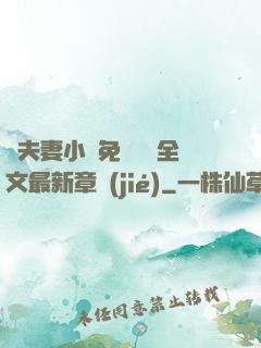 換夫妻小說免費閱讀全文最新章節(jié)