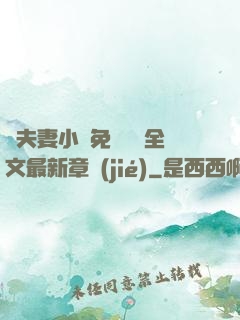 換夫妻小說免費閱讀全文最新章節(jié)