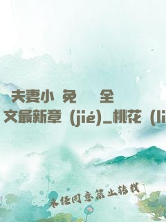 換夫妻小說免費閱讀全文最新章節(jié)