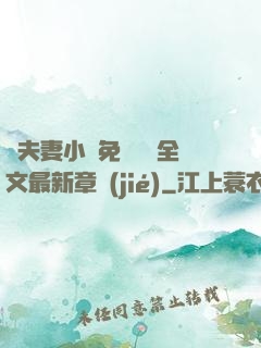 換夫妻小說免費閱讀全文最新章節(jié)