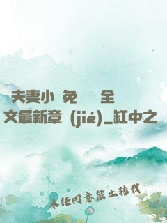 換夫妻小說免費閱讀全文最新章節(jié)