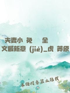換夫妻小說免費閱讀全文最新章節(jié)