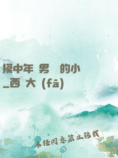摸中年壯男褲襠的小說